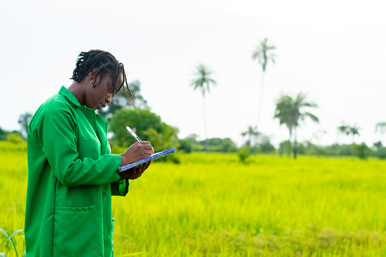 7 Documents to Verify Before Buying Land in Nigeria