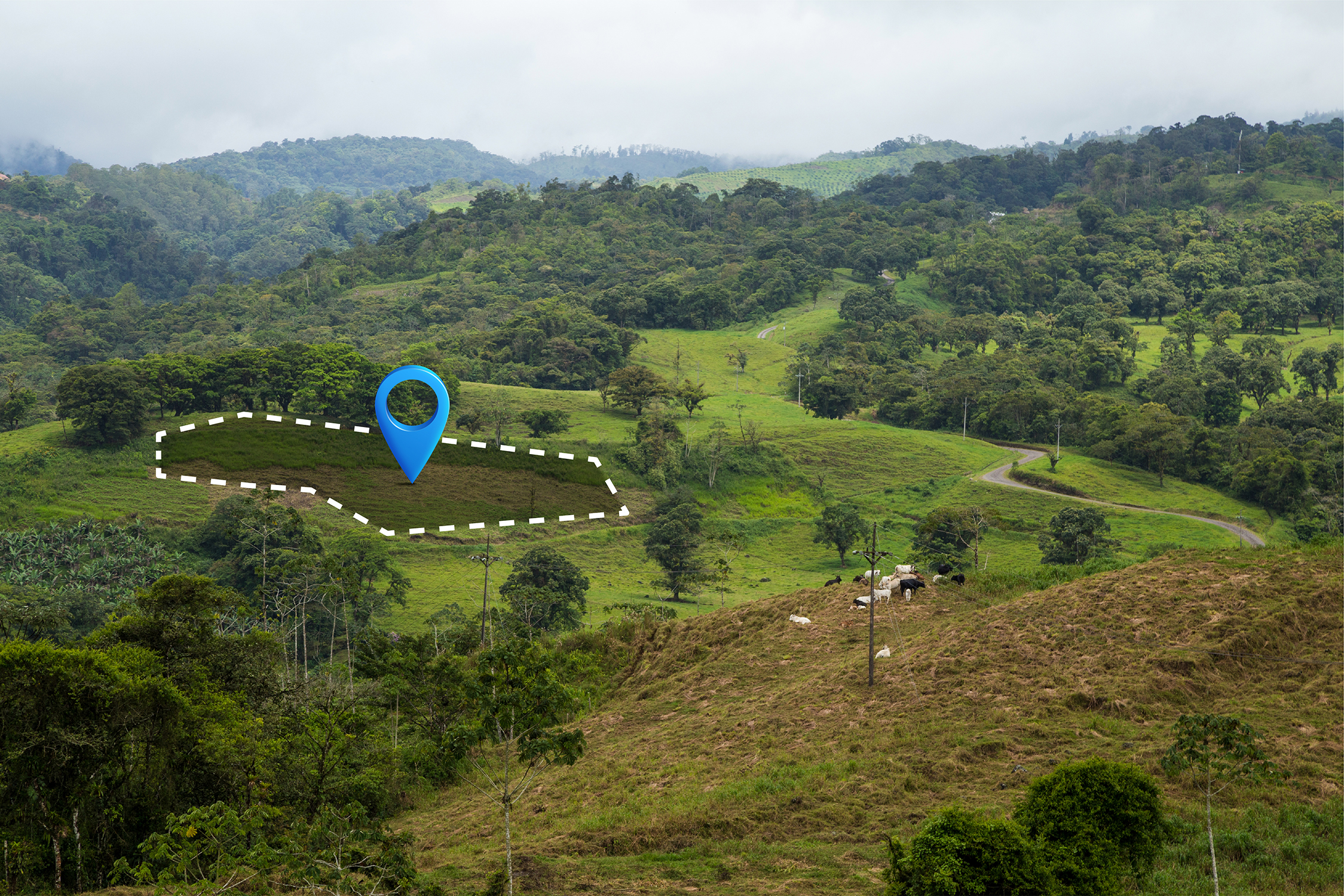 How to Verify Land Ownership in Nigeria Before Paying a Kobo